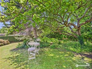 Front Garden- click for photo gallery